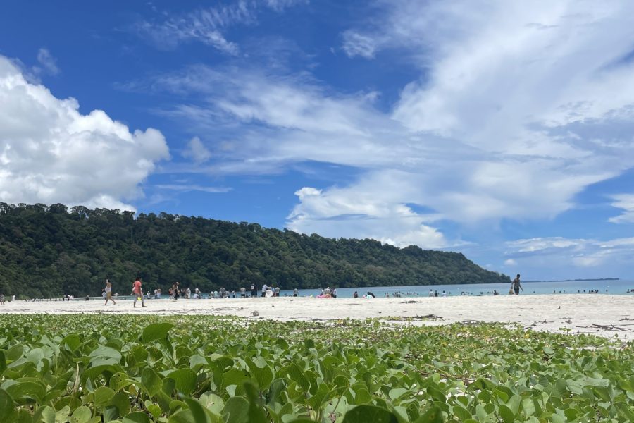 Trip To Andamans Best Seller -107